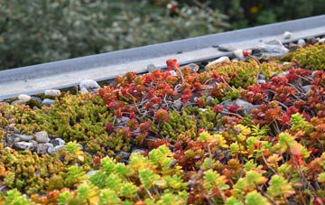 the cost of Toller Fratrum green roof installation