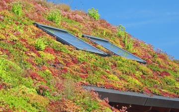 Toller Fratrum living roof systems