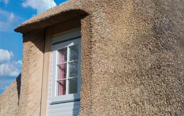 Toller Fratrum thatch roof disadvantages