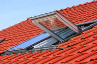Toller Fratrum roof window